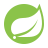 Spring Boot programming language and technology logo